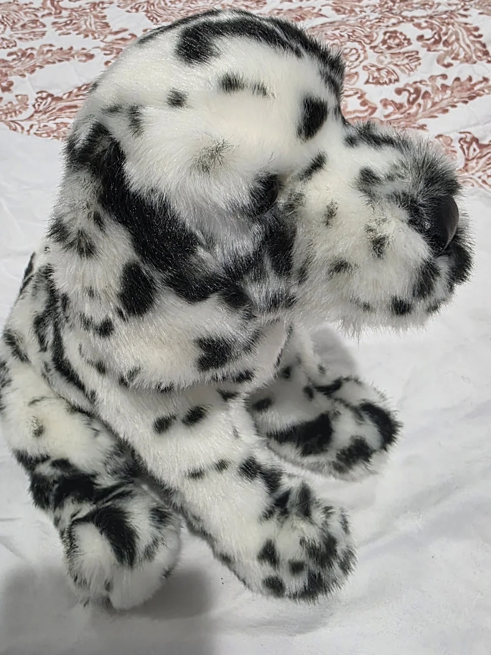 Douglas MACKAY DALMATIAN Dog Puppy Retired